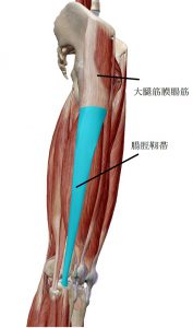 腸脛靭帯炎ってご存知ですか ストレッチ道場 公式ホームページ